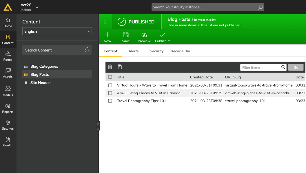 A screenshot of the Agility CMS UI